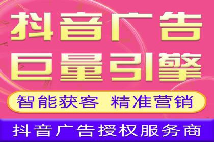 专业SEM运营托管服务案例分析